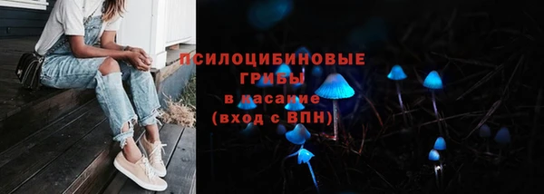 МДМА Бородино
