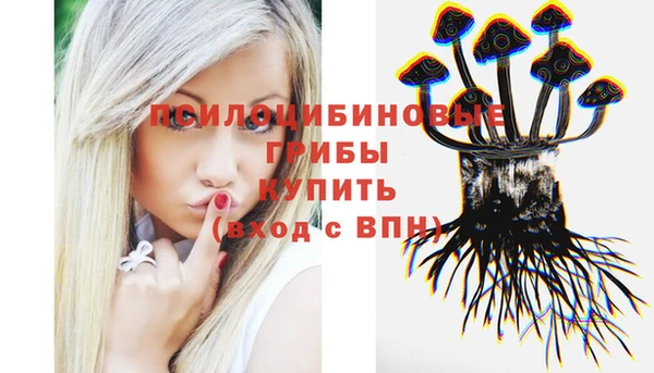 соль ск Бронницы